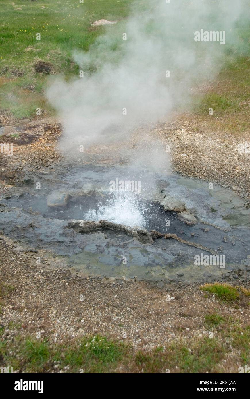 Hveravellir, Réserve naturelle, zone géothermique, Islande, route Kjoelur Banque D'Images