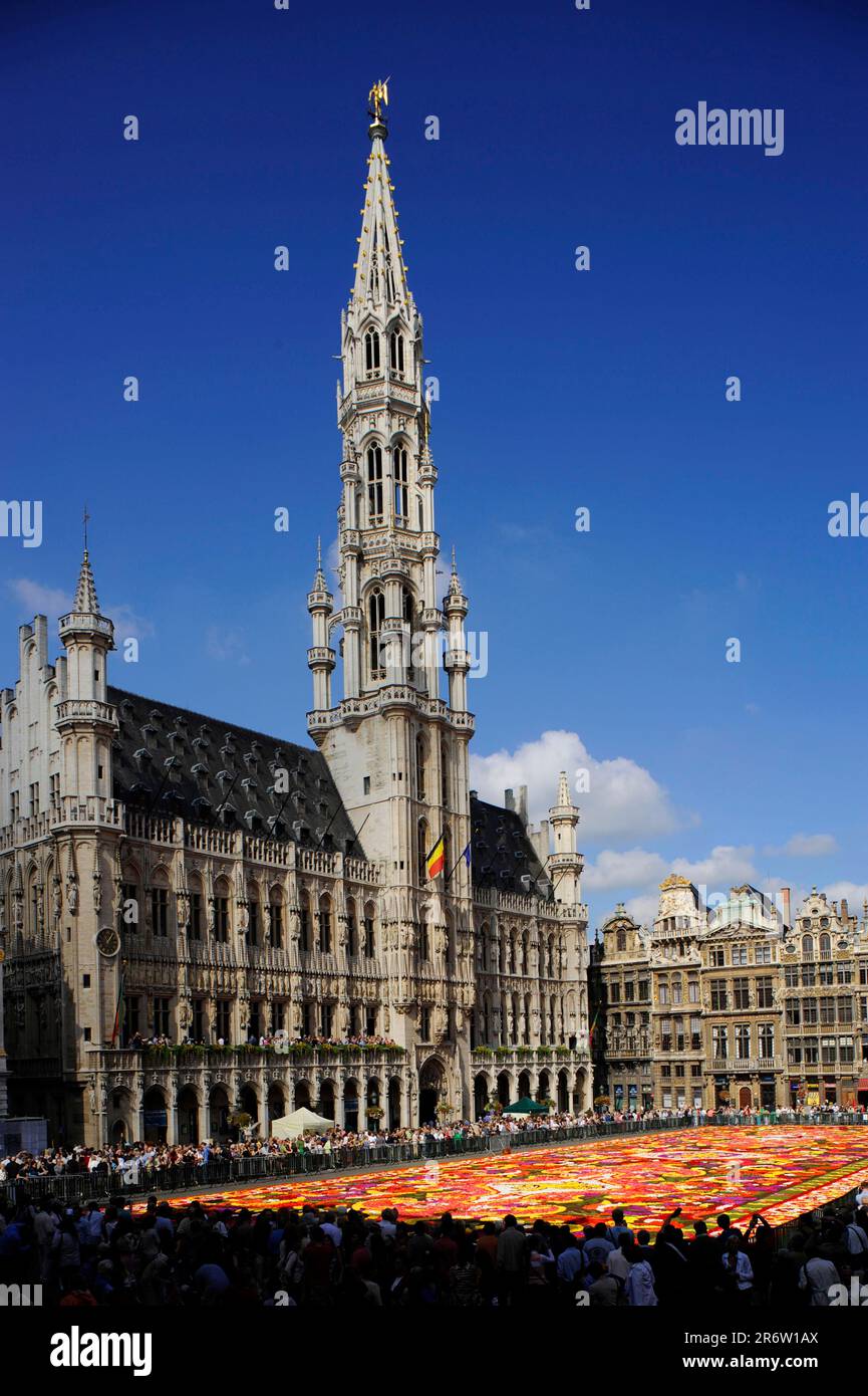 Hôtel de ville, Grand-place, Het Stadhuis, tapis de fleurs sur la place de l'hôtel de ville, Grote Markt, Bruxelles, Belgique Banque D'Images