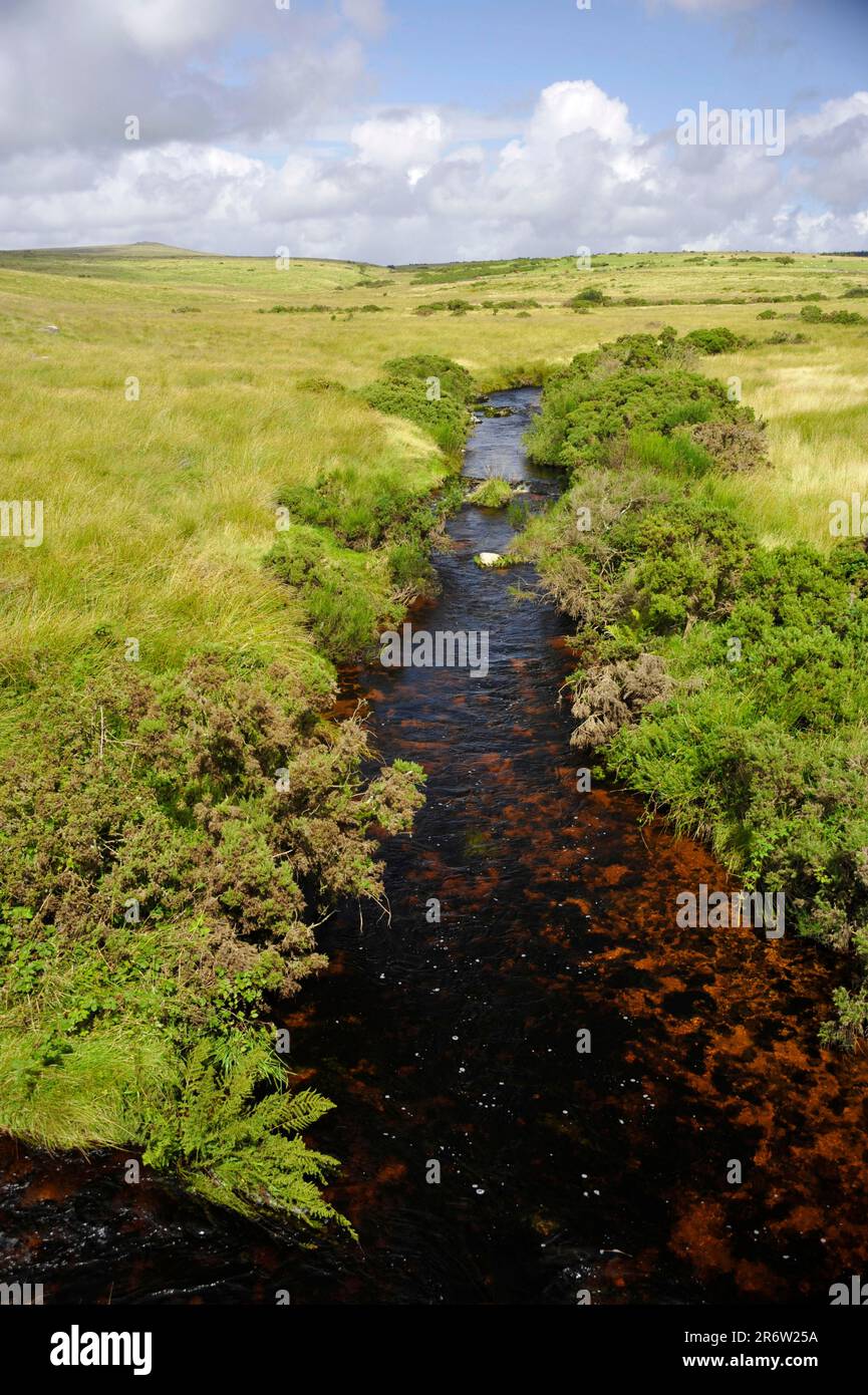 West Dart, parc national de Dartmoor, Devon, Angleterre, Royaume-Uni Banque D'Images