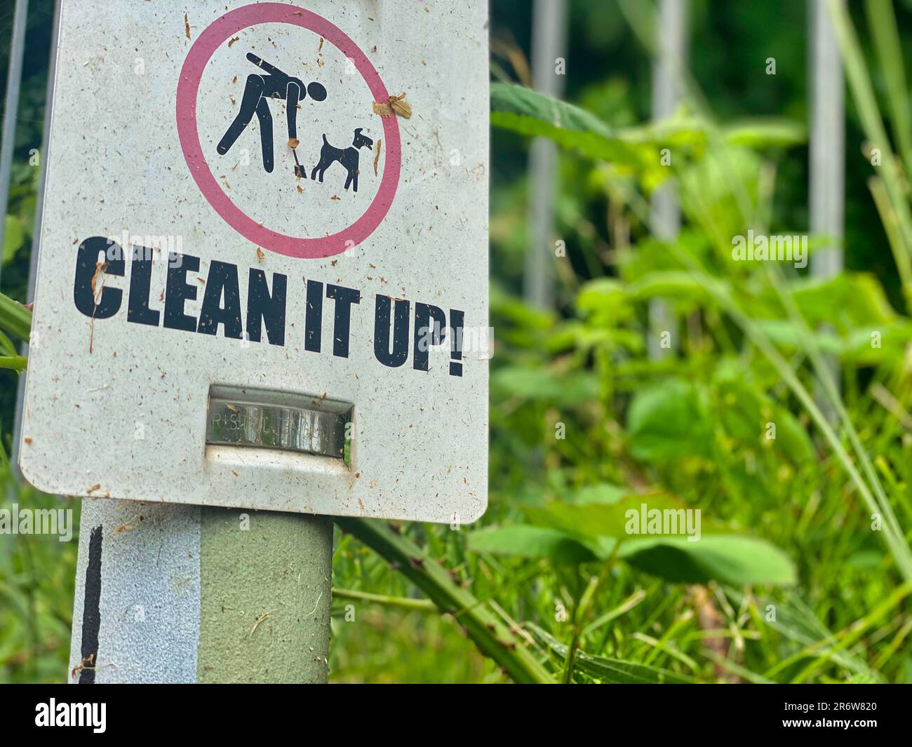 Nettoyez le panneau d'encrassement du chien Banque D'Images