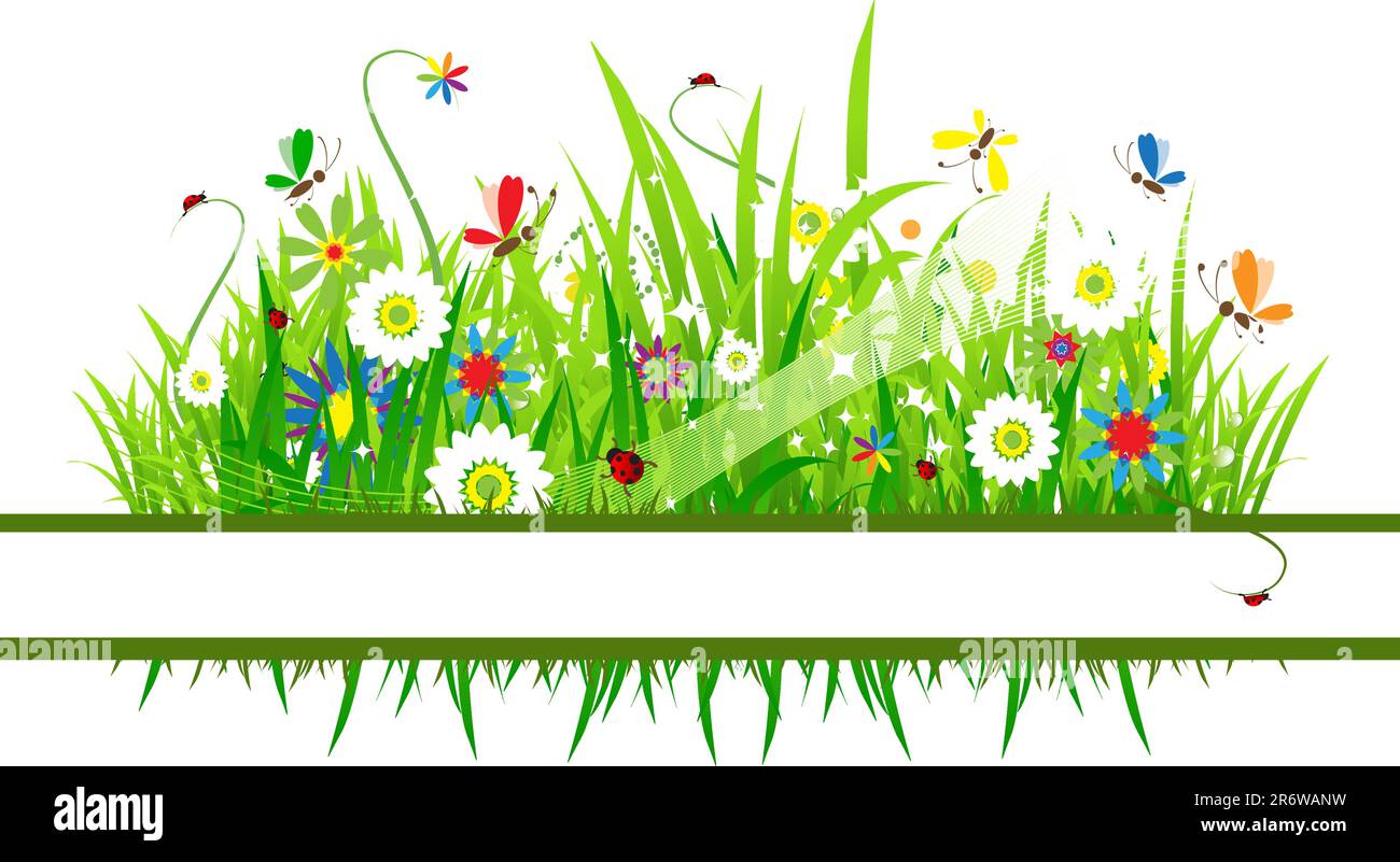 Belle prairie d'été Illustration de Vecteur