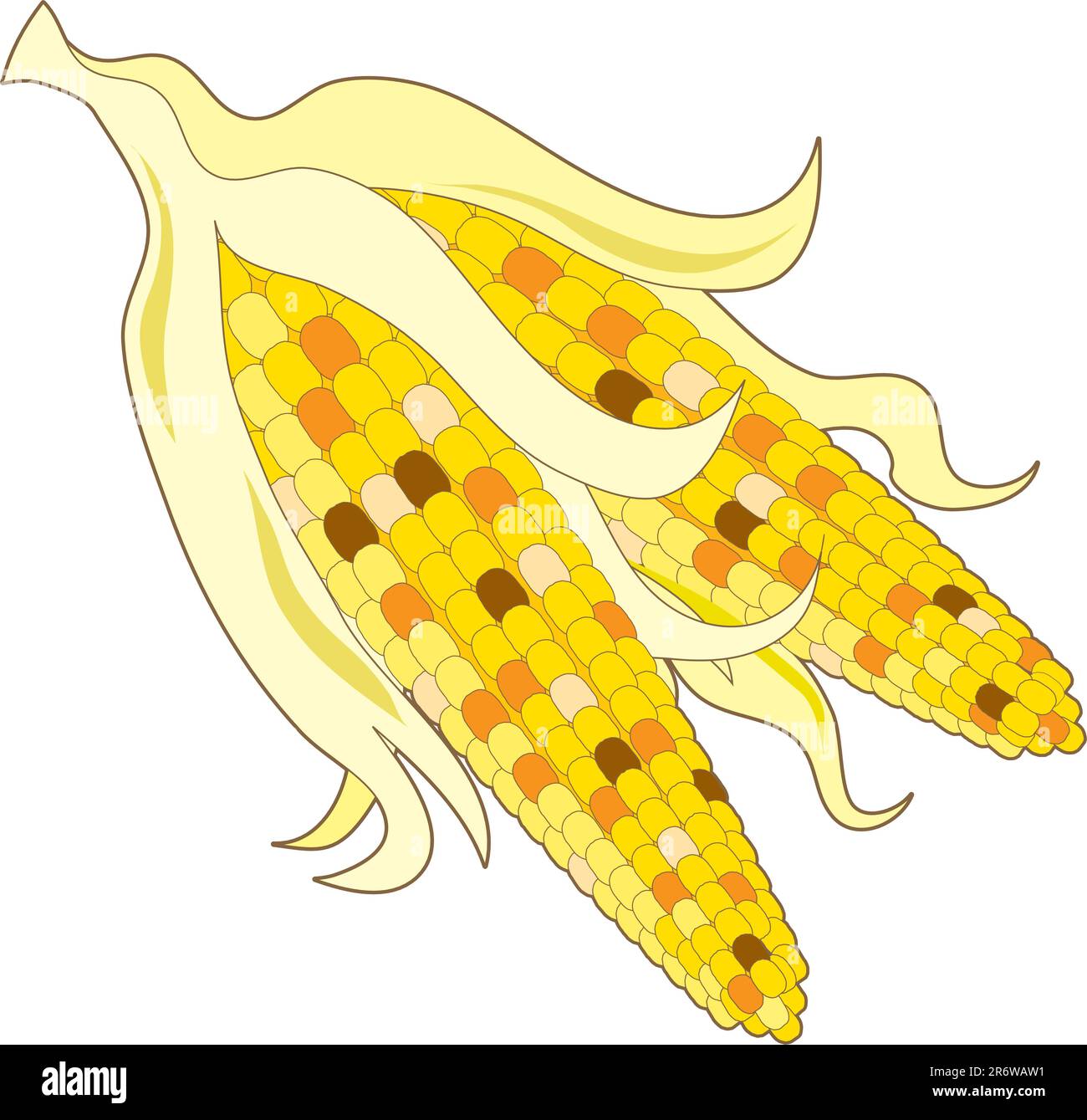 Deux épis de maïs indien multicolores Illustration de Vecteur