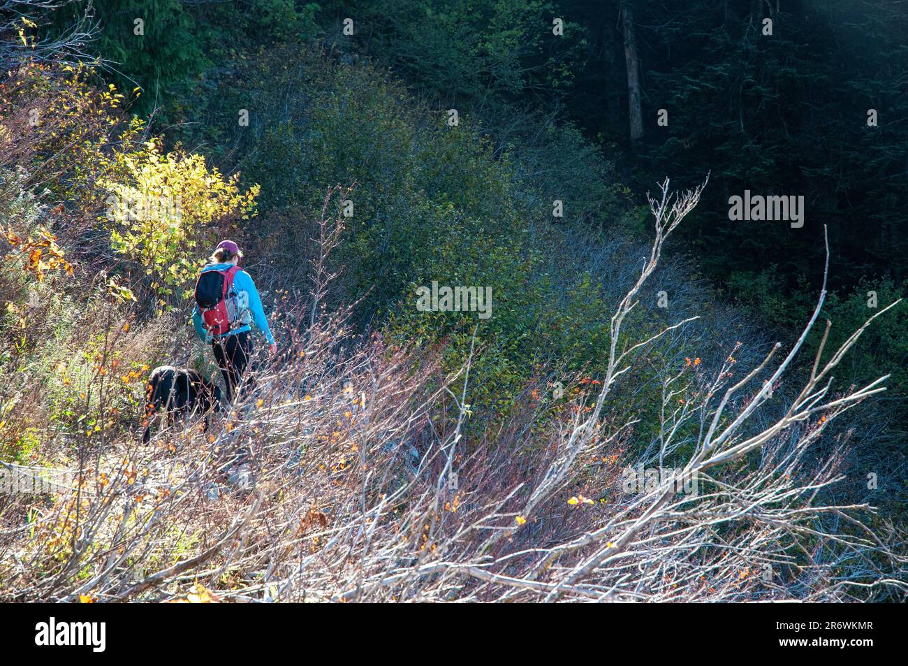 Femme adulte seule en randonnée vers, Silver Star Mountain, Washington. ÉTATS-UNIS Banque D'Images