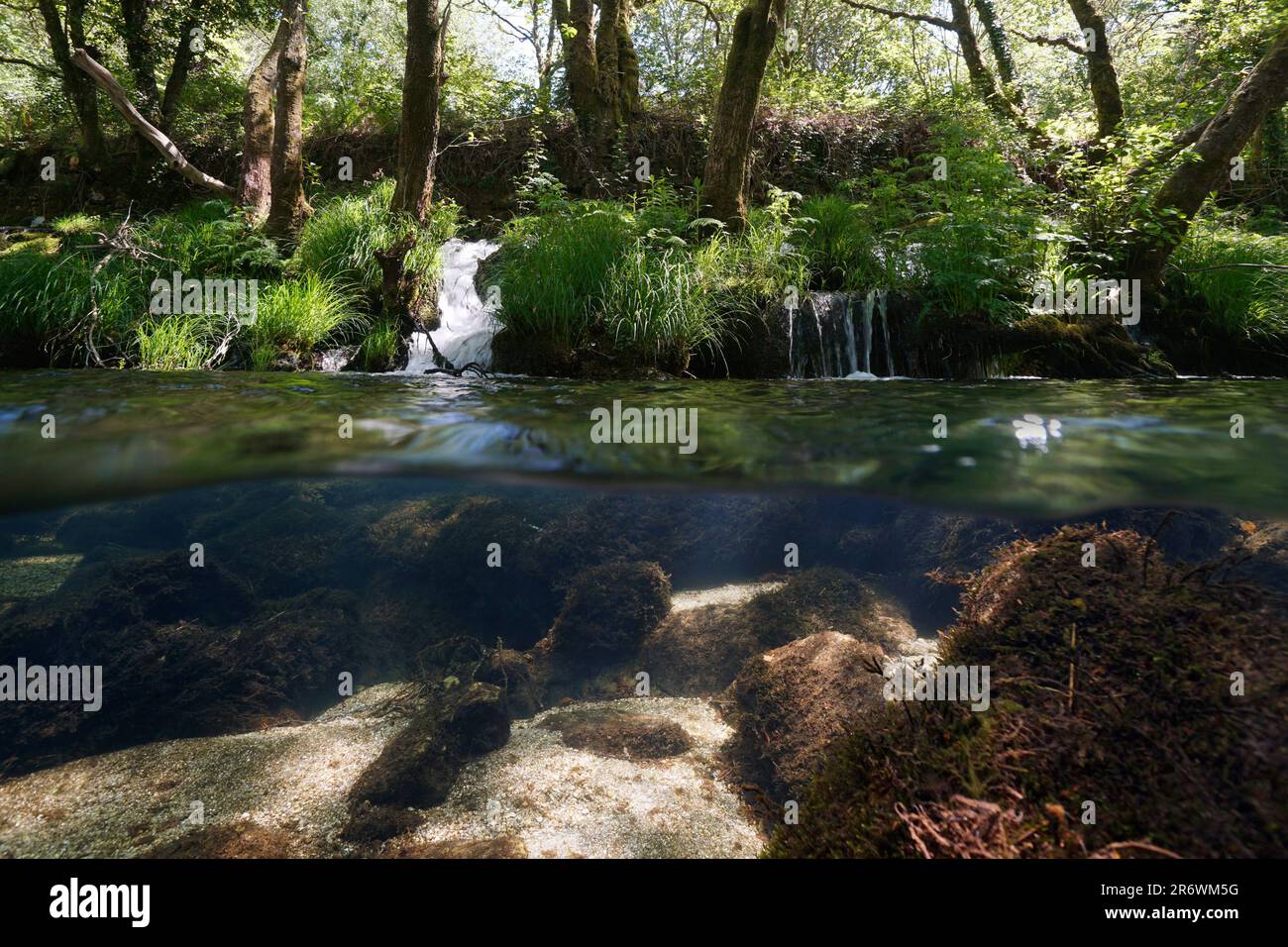 Cascade dans une rivière, scène naturelle, vue sur et sous la surface de l'eau, Espagne, Galice, province de Pontevedra, Rio Verdugo Banque D'Images