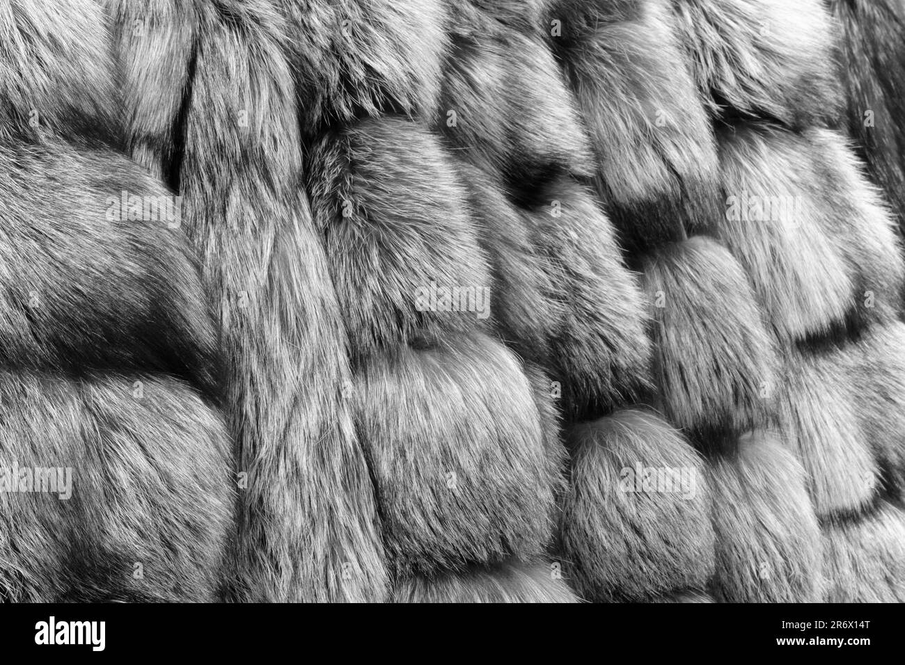 Manteau en fourrure de luxe très doux dans un style vintage Banque D'Images