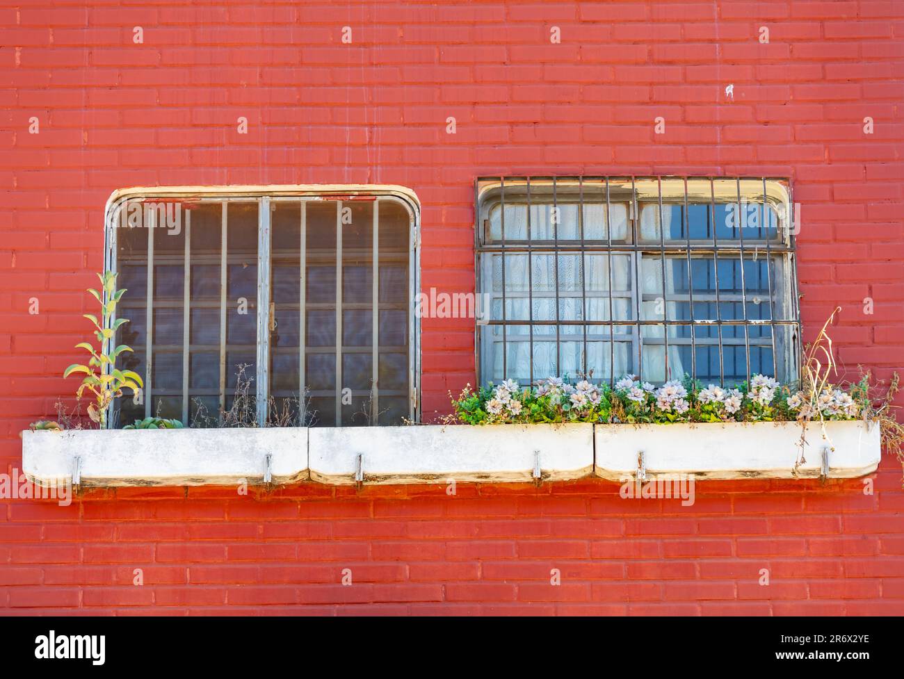 Vieilles fenêtres avec jardinières négligées dans le vieux bâtiment avec mur orange Banque D'Images