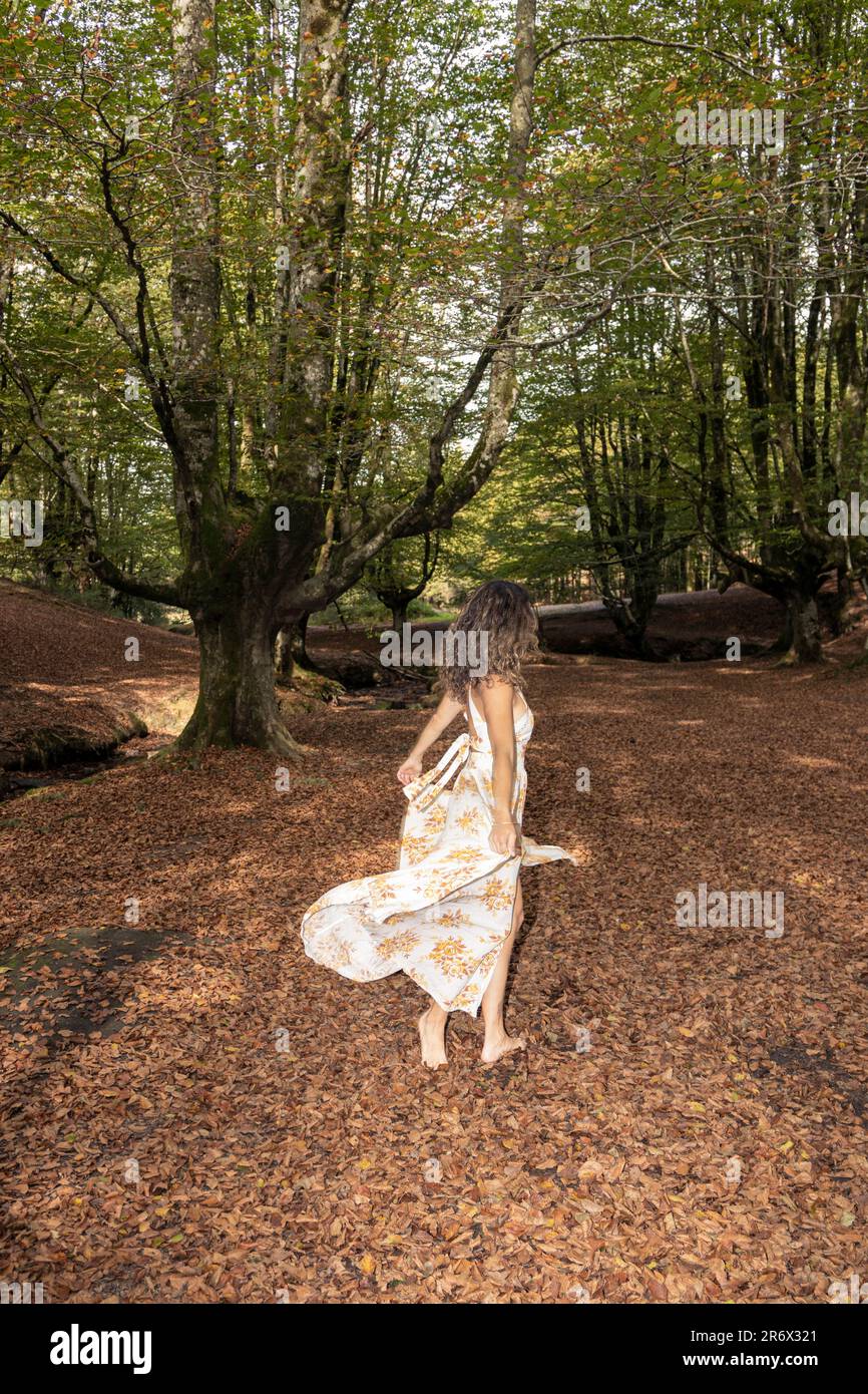 Moments captivants d'une femme Barefoot dansant dans une forêt d'automne Banque D'Images