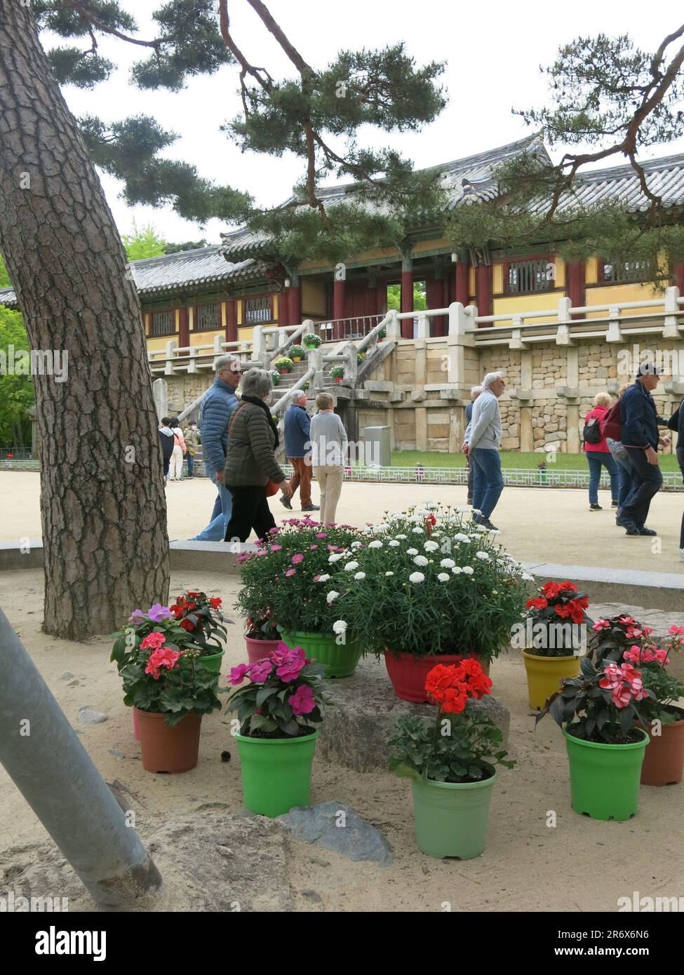 Touristes à l'extérieur de l'un des bâtiments en bois qui forment le temple bouddhiste de Bulguksa, une destination touristique majeure et site de l'UNESCO. Banque D'Images
