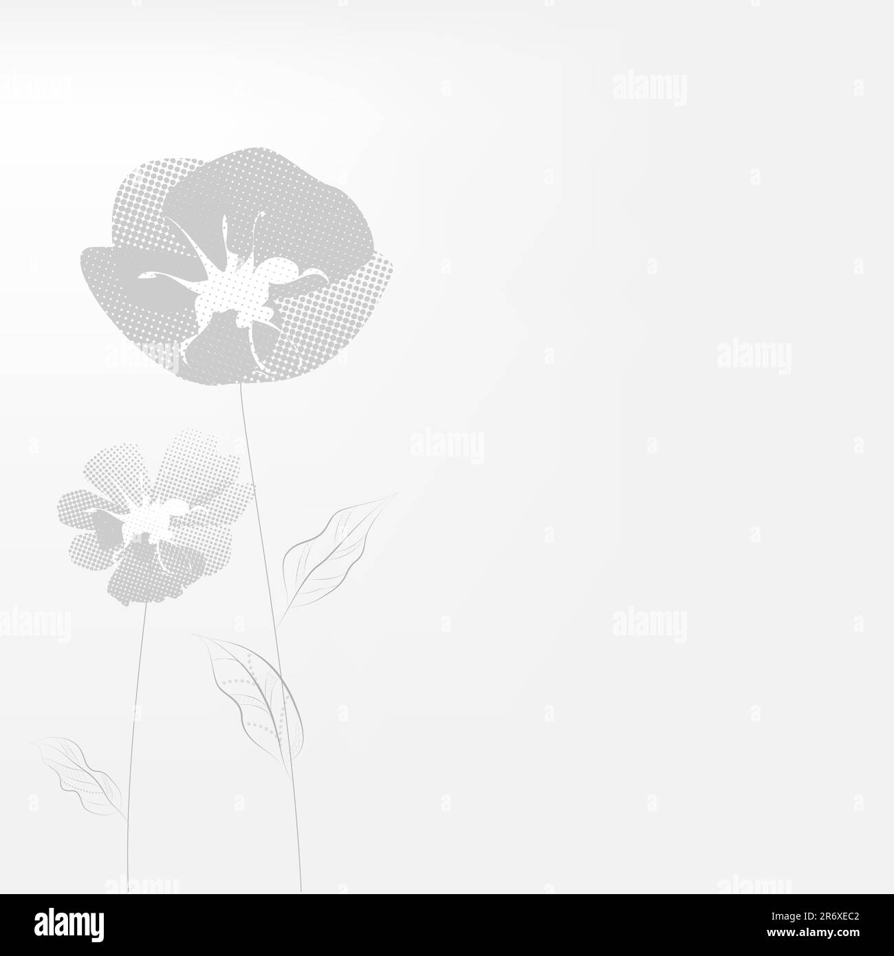 Illustration monochrome avec fleurs de pavot Illustration de Vecteur