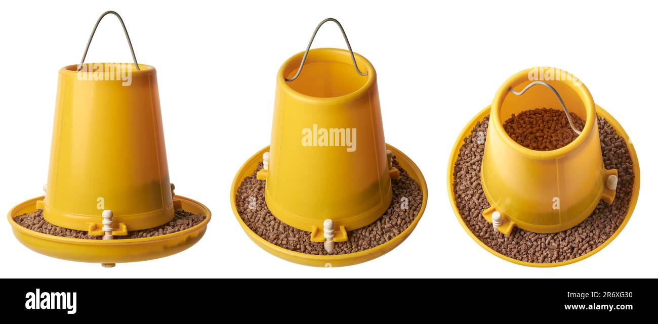 ensemble de mangeoire à volaille avec pellets d'alimentation de poulet, mangeoire suspendue en plastique qui maintient les poulets nourris et conserve la nourriture, facile à nettoyer et visible alimentation Banque D'Images