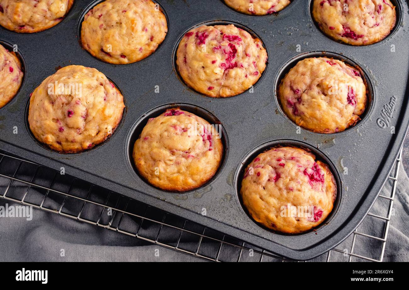Muffins aux framboises fraîchement cuits dans un moule à muffins antiadhésif : muffins au petit déjeuner ou au dessert préparés avec des fruits sous un angle élevé dans un moule à muffins Banque D'Images