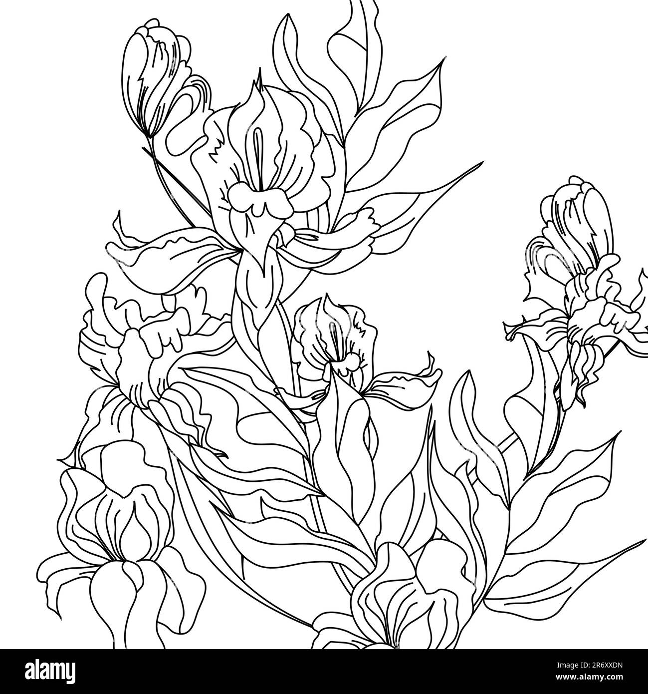 Esquisser avec des fleurs d'iris Illustration de Vecteur