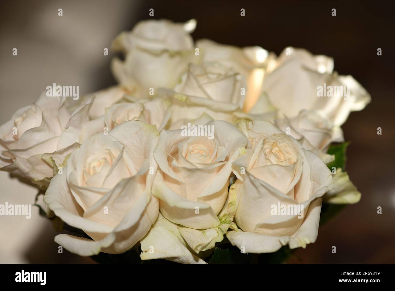 Roses blanches dans un bouquet, gros plan. Banque D'Images