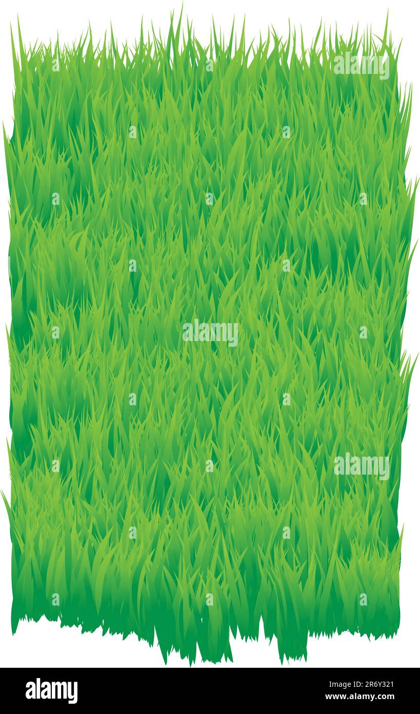 Le fond vert de l'herbe. Texture du champ d'herbe. Illustration de Vecteur