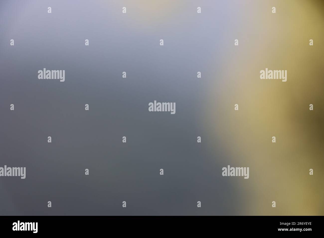 Belle image d'arrière-plan floue de la nature du printemps, fond vert défocalisé, papier peint Banque D'Images