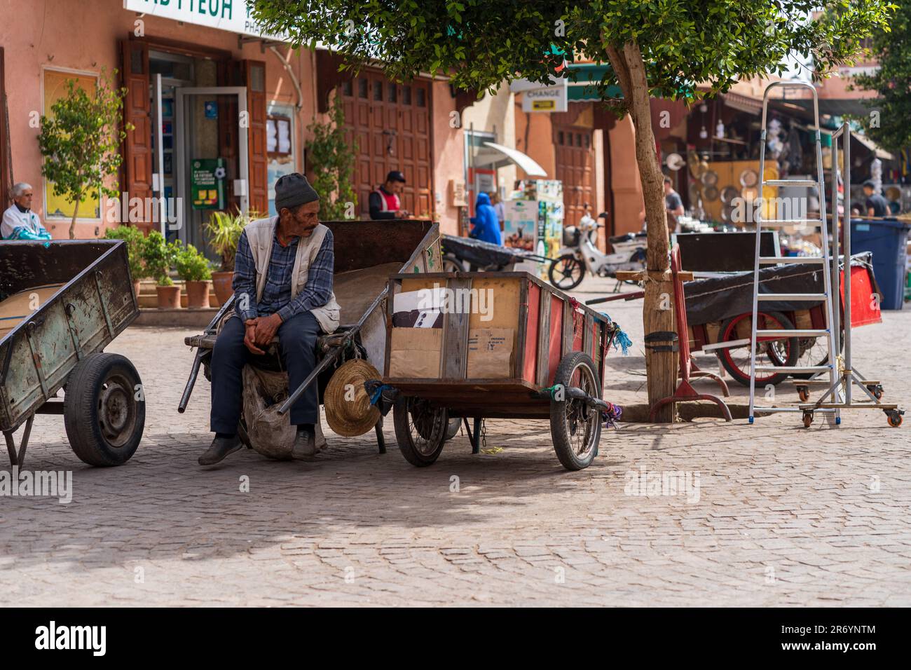 Âne et chariot en attente de travail à Marrakech Banque D'Images