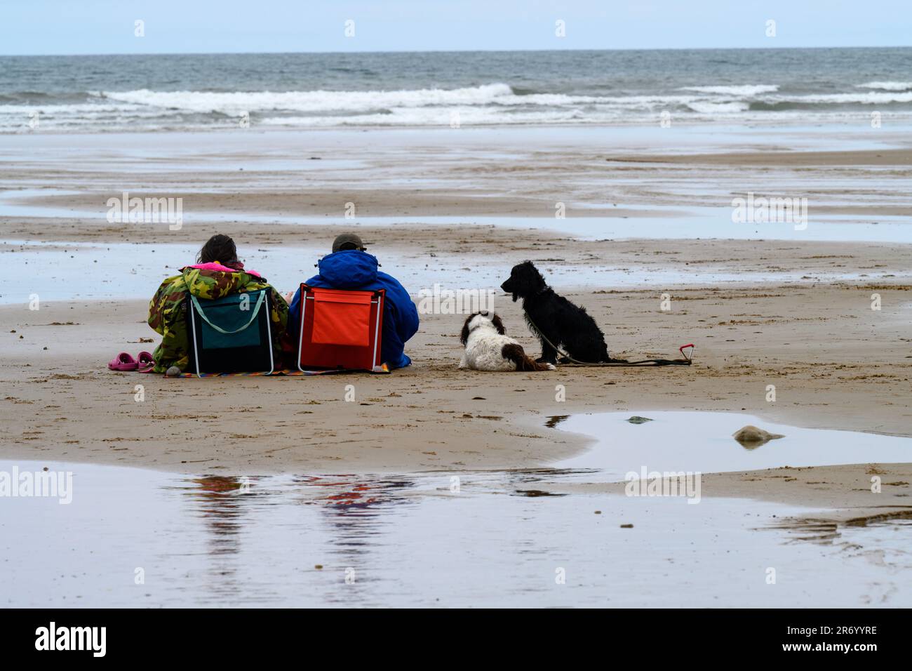 Couple avec des chiens assis sur le froid et venteux Saltburn Beach Yorkshire Banque D'Images
