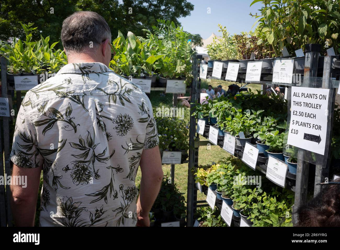 Des plantes en pot sont en vente au Lambeth Country Show à Brockwell Park, Herne Hill, dans le sud de Londres, le 10th juin 2023, à Londres, en Angleterre. Banque D'Images