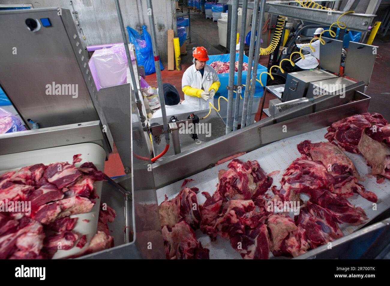 Emballage de la viande : les inspecteurs prennent des échantillons de carottes dans des bacs de viande de bœuf pour les tester pour détecter les e-coli Banque D'Images