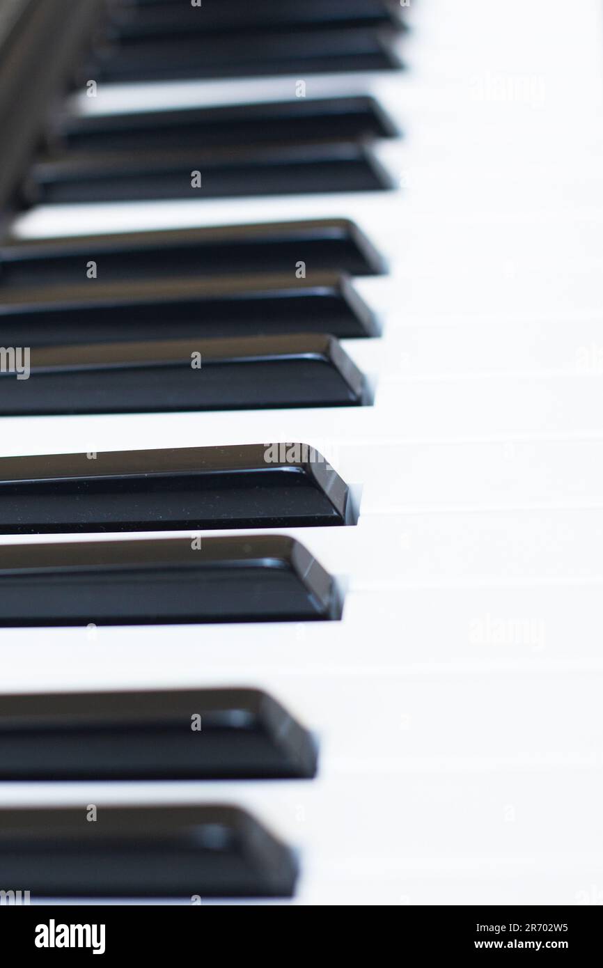 Touches du synthétiseur arrière-plan noir et blanc avec espace de copie pour votre texte. Vue rapprochée du dessus de l'octave du piano. Clavier instrument de musique. Classe de musique co Banque D'Images