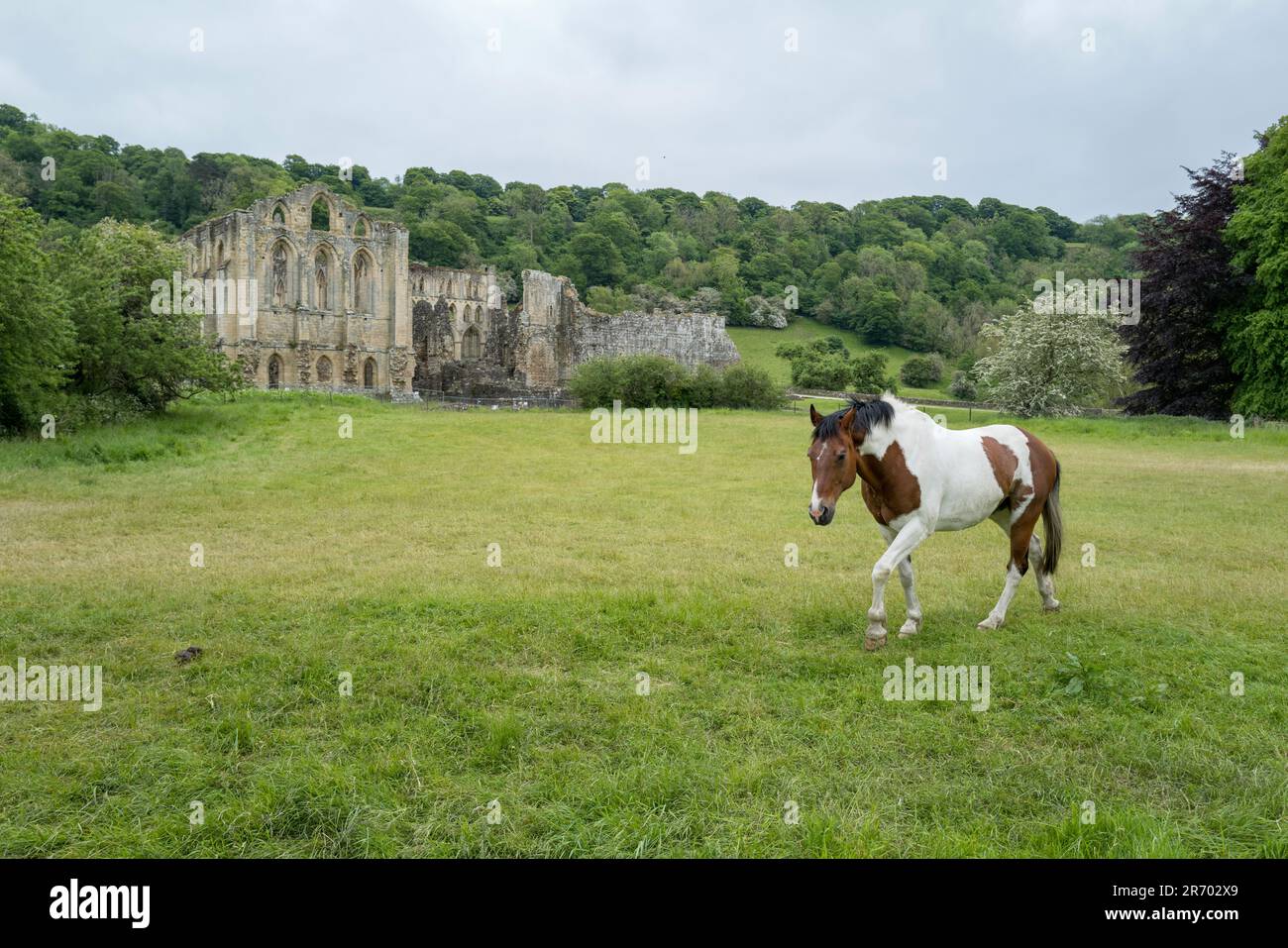 Abbaye et village de Rievaulx Banque D'Images