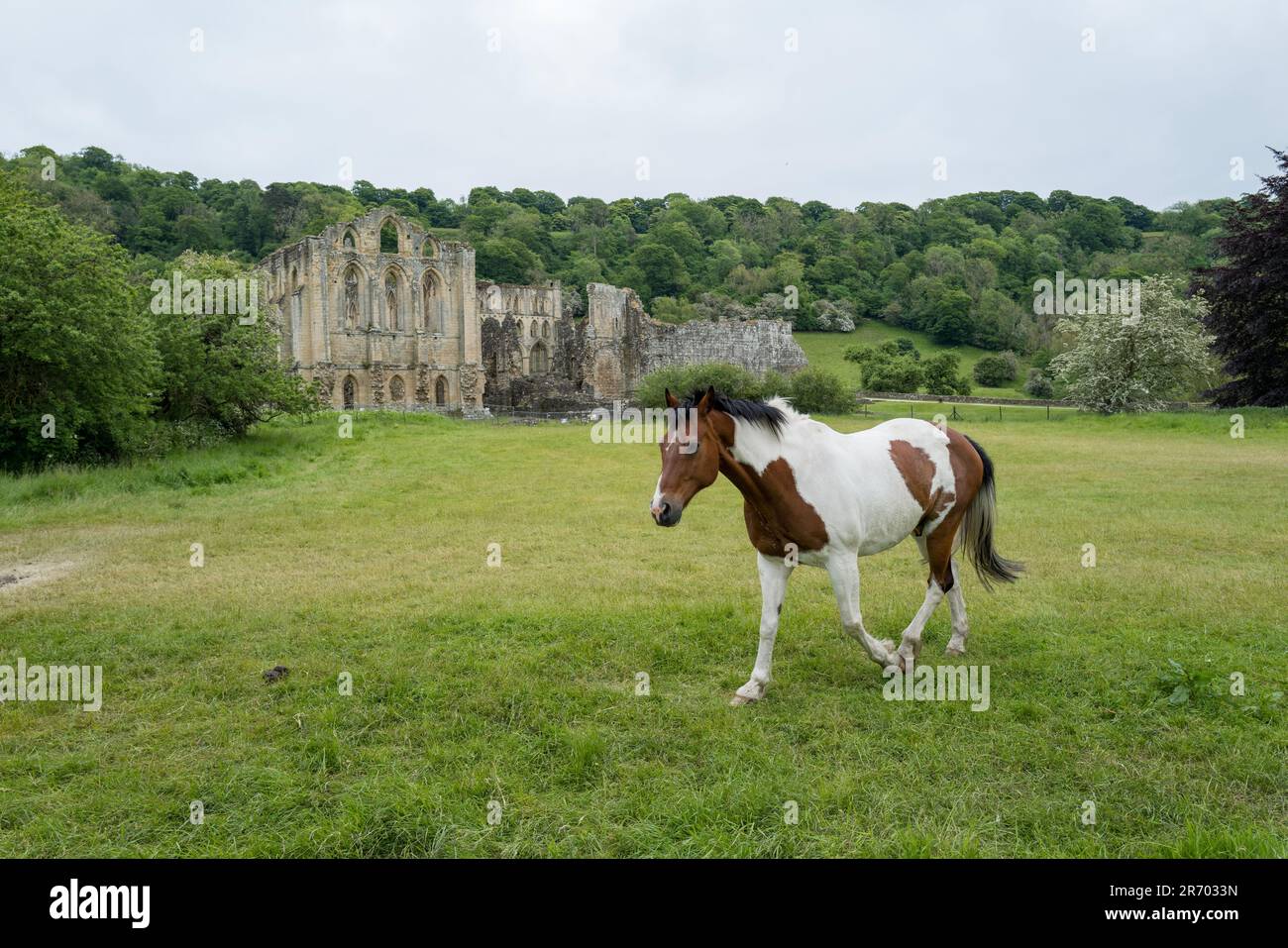 Abbaye et village de Rievaulx Banque D'Images