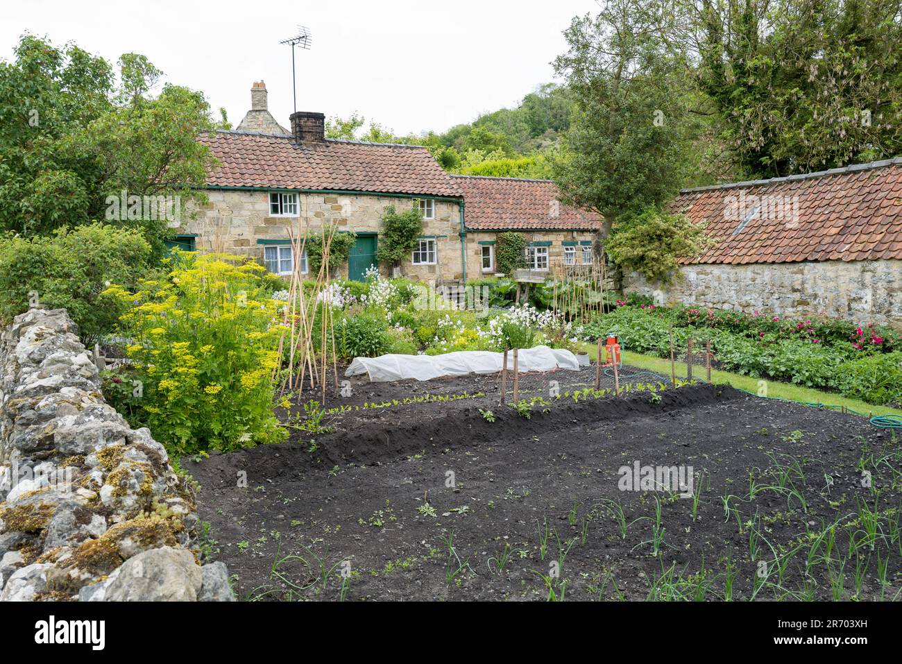 Abbaye et village de Rievaulx Banque D'Images