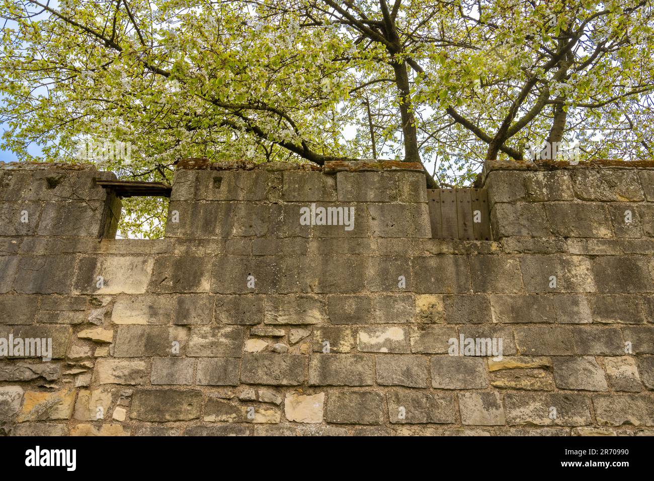 Réplique des volets en bois entre les merlons des murs médiévaux de la ville utilisés pour protéger les archers de l'attaque au sol. York Banque D'Images