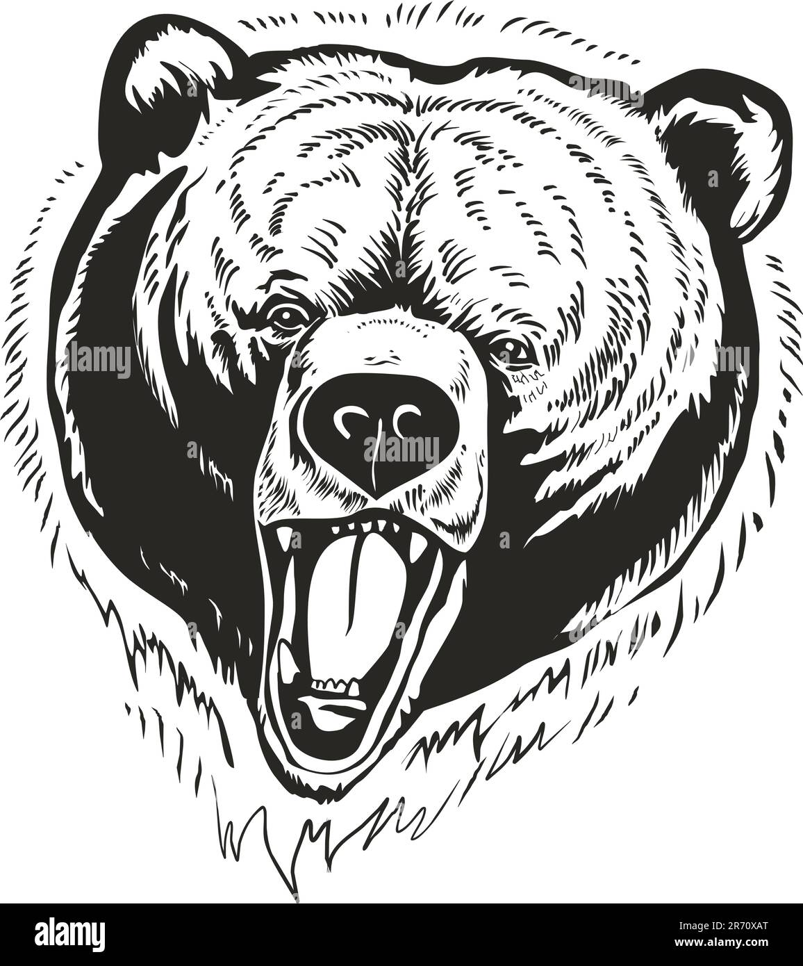 la tête d'ours brun sauvage est isolée sur fond blanc Illustration de Vecteur