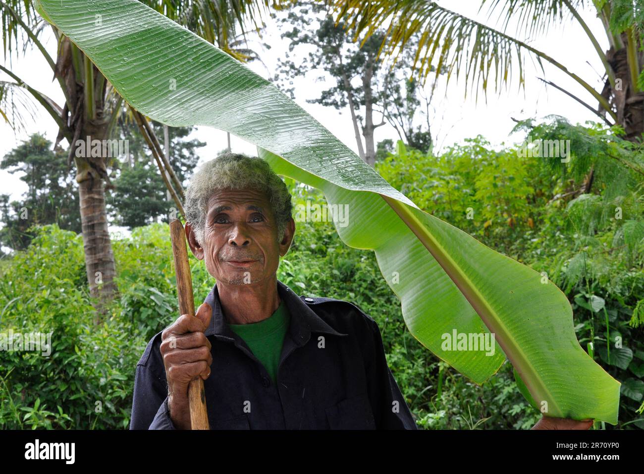 Indonésie. Île de Sumba. vieil homme Banque D'Images