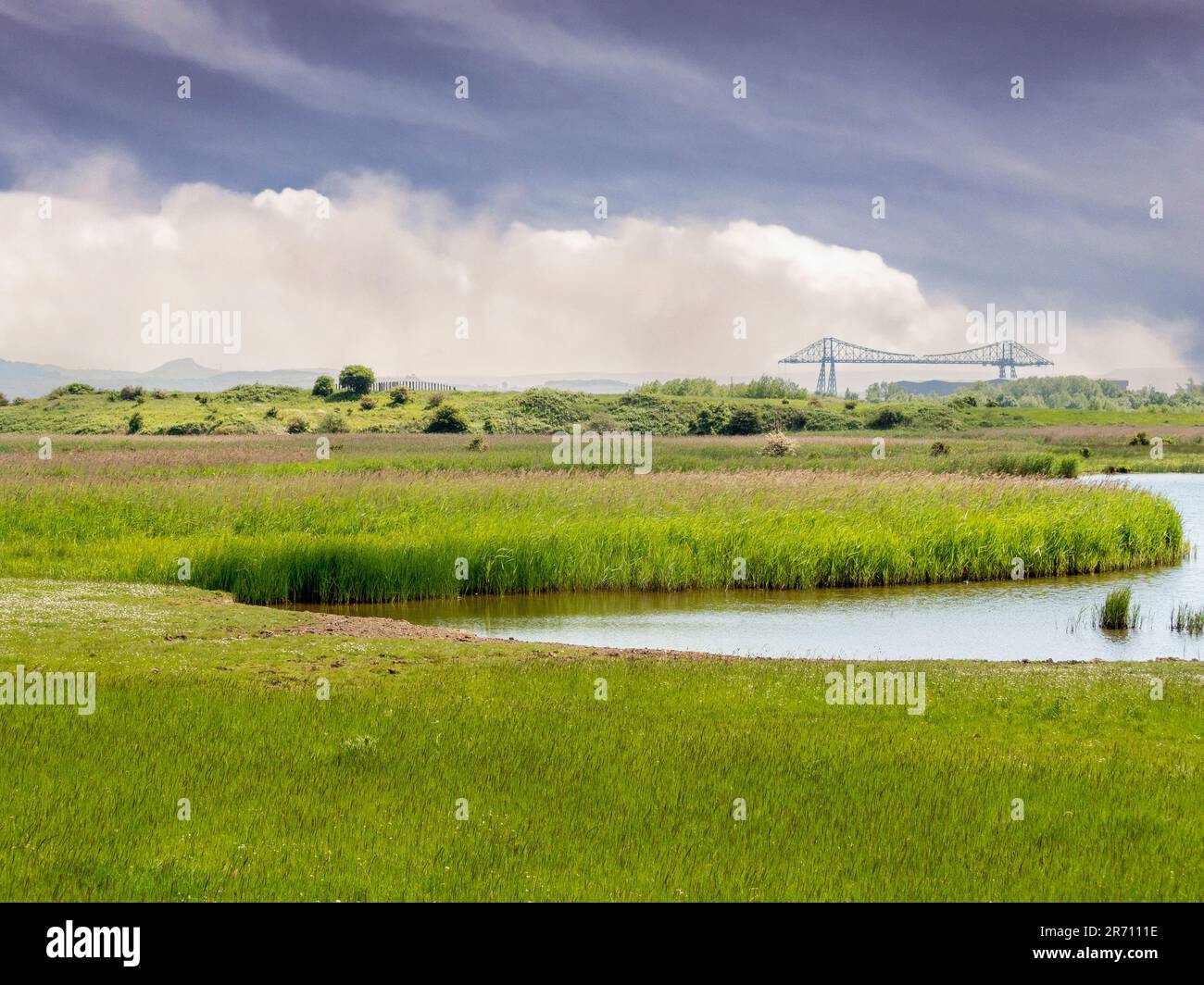 Haverton Hole pools reedbeds à la réserve naturelle de RSPB Saltholme avec garniture de Roseberry et le pont de transport de Middlesbrough au loin. Banque D'Images