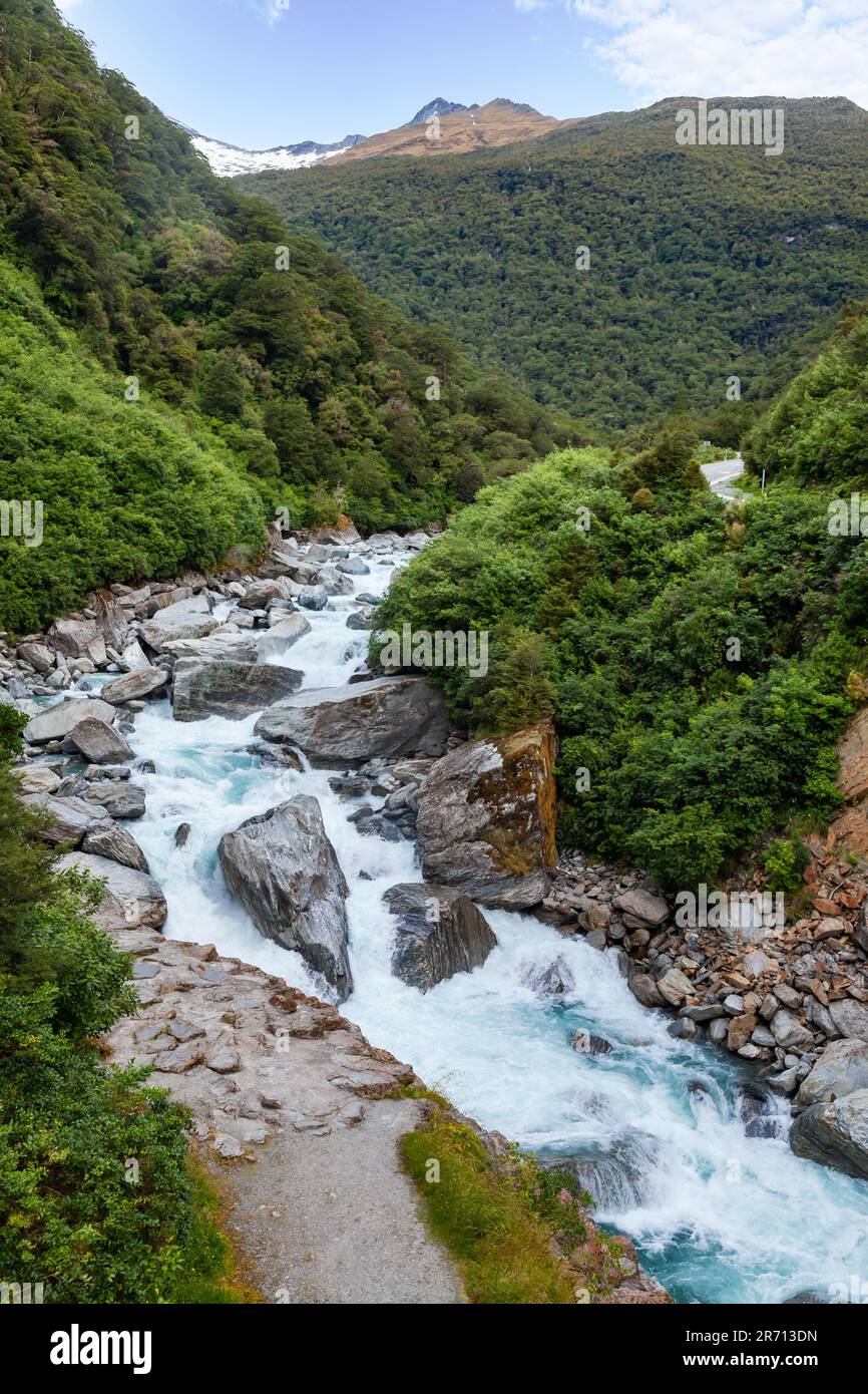 Eaux de glacier bleu laiteux de la rivière Haast à la gorge de Gates of Haast dans le parc national du Mont Aspiring, île du Sud de la Nouvelle-Zélande Banque D'Images