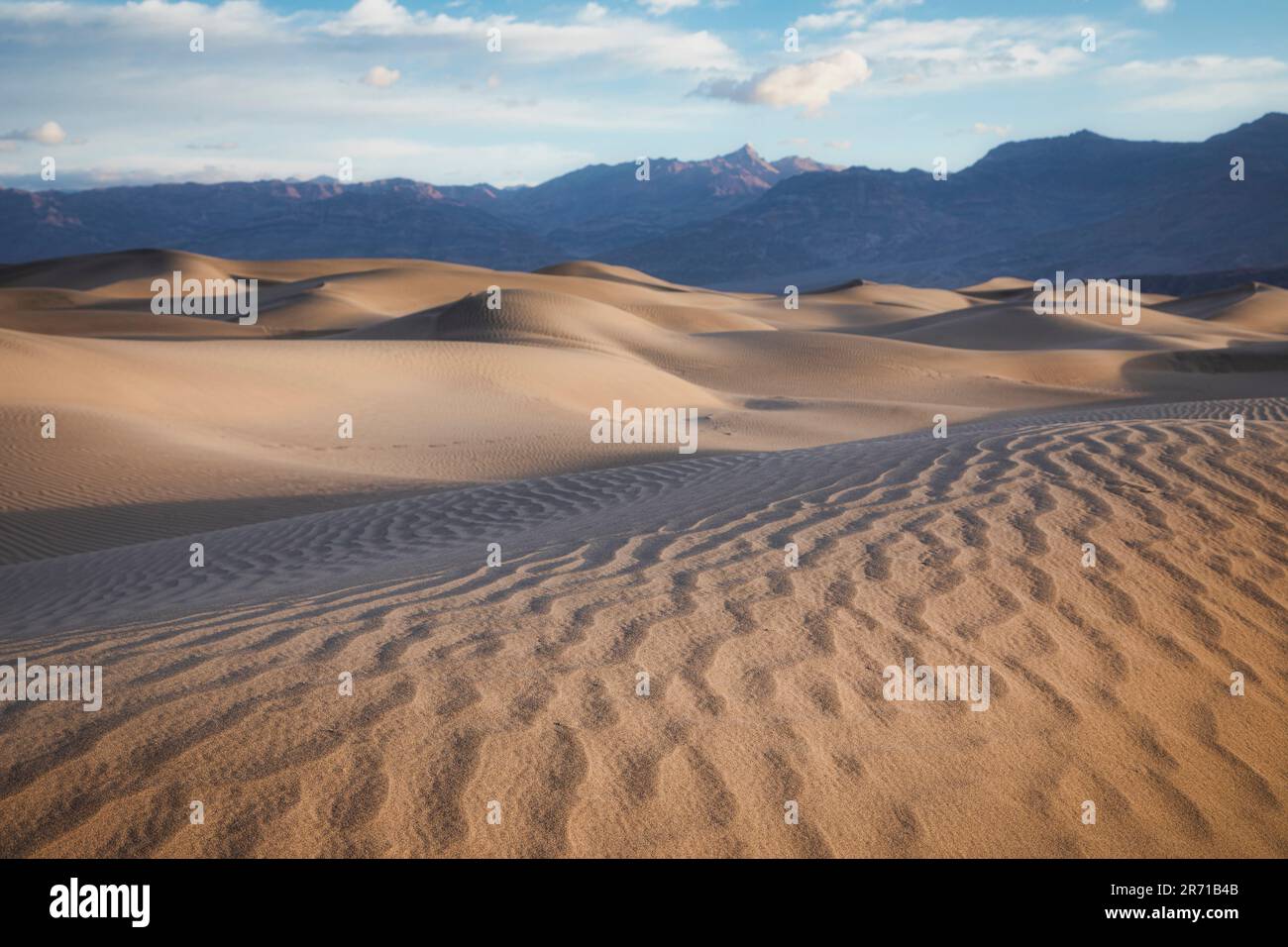 Tôt le matin aux dunes de sable de Mesquite Flat dans la vallée de la mort, en Californie. Banque D'Images