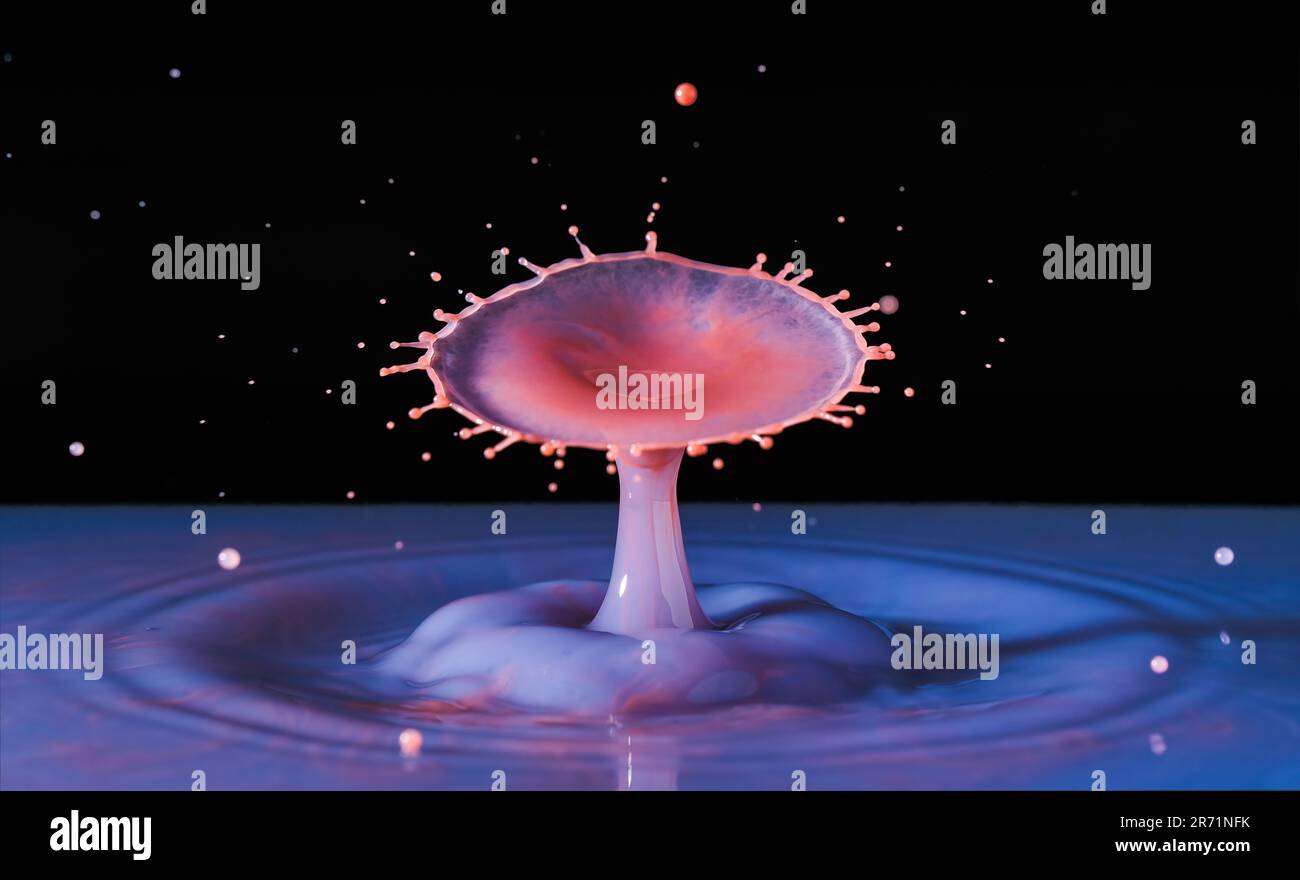 Gros plan de la photographie macro de gouttes d'eau rouge violet et rose congelées dans la photographie à grande vitesse Banque D'Images