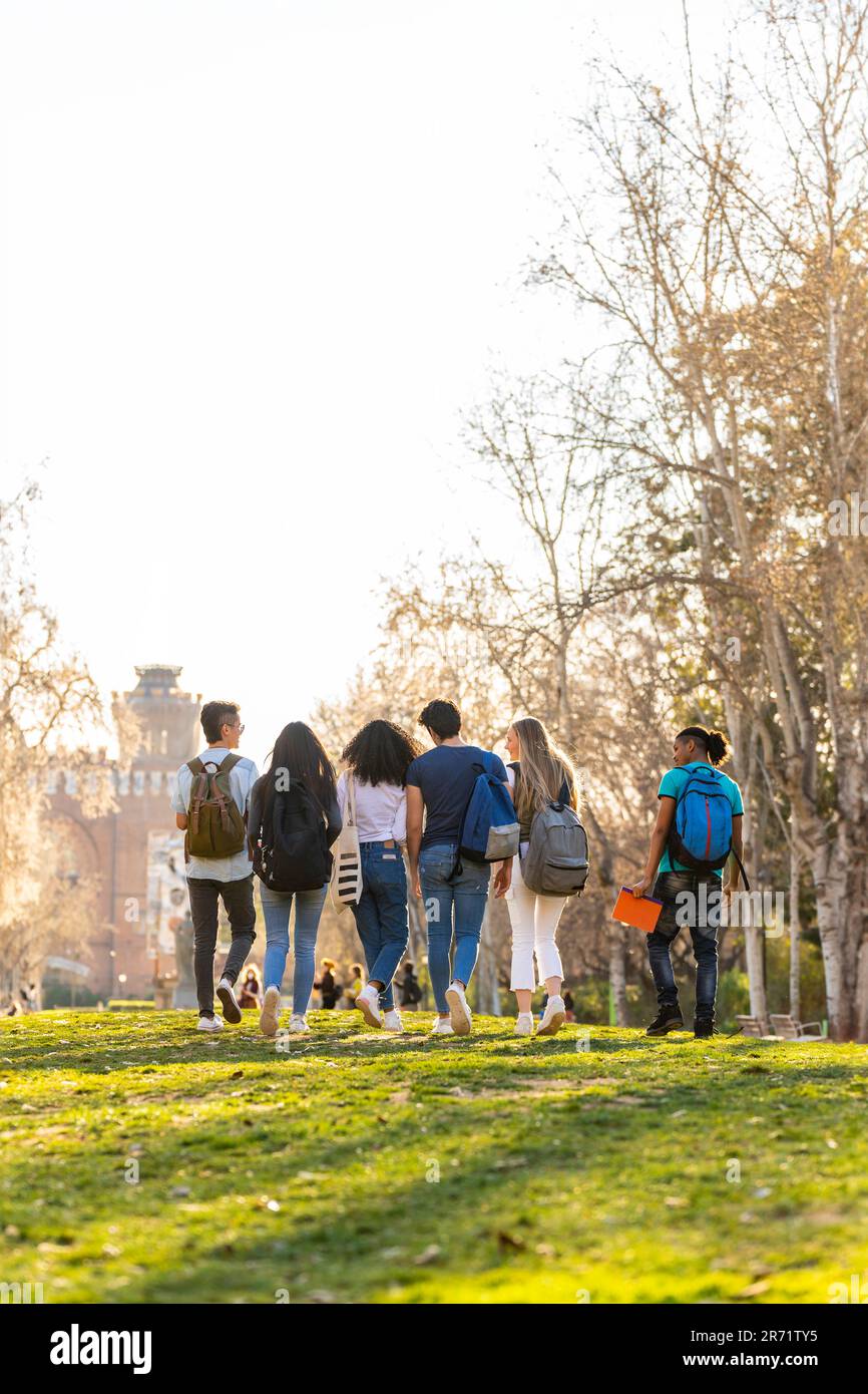 Vue arrière d'une rangée de jeunes étudiants multiethniques qui marchent ensemble dans le parc Banque D'Images