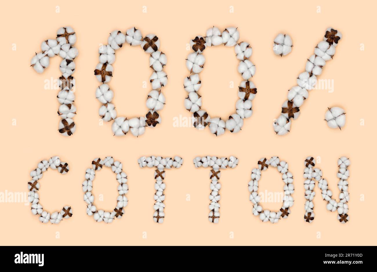 Lettrage 100% coton fait de fleurs de coton. Concept de matière première organique. Banque D'Images
