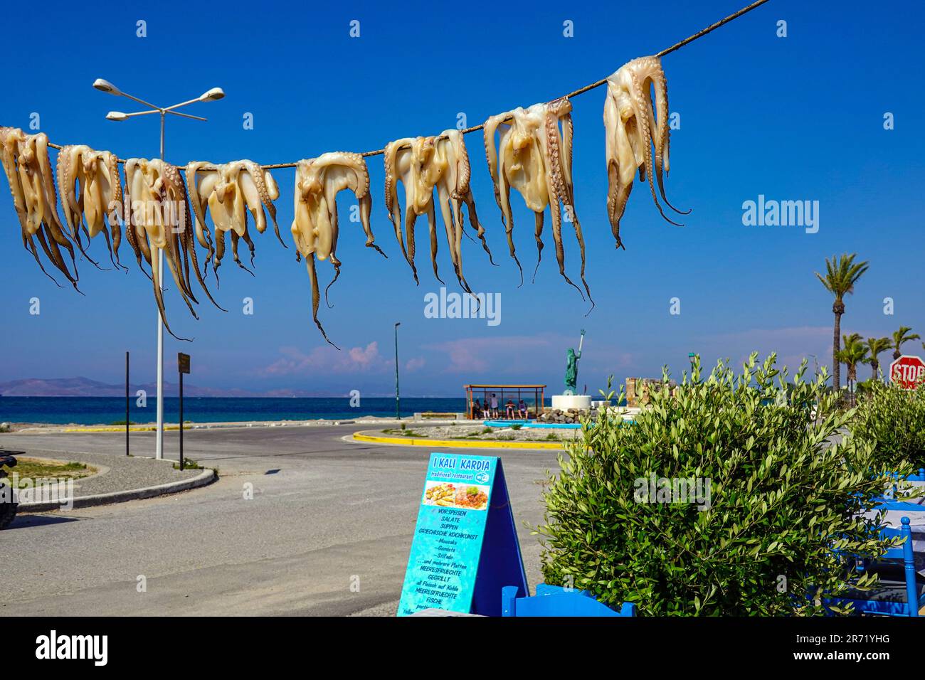 Poulpe morte séchant au soleil l'île grecque de Kos, dans le Dodécanèse, mer Egée, Grèce Banque D'Images
