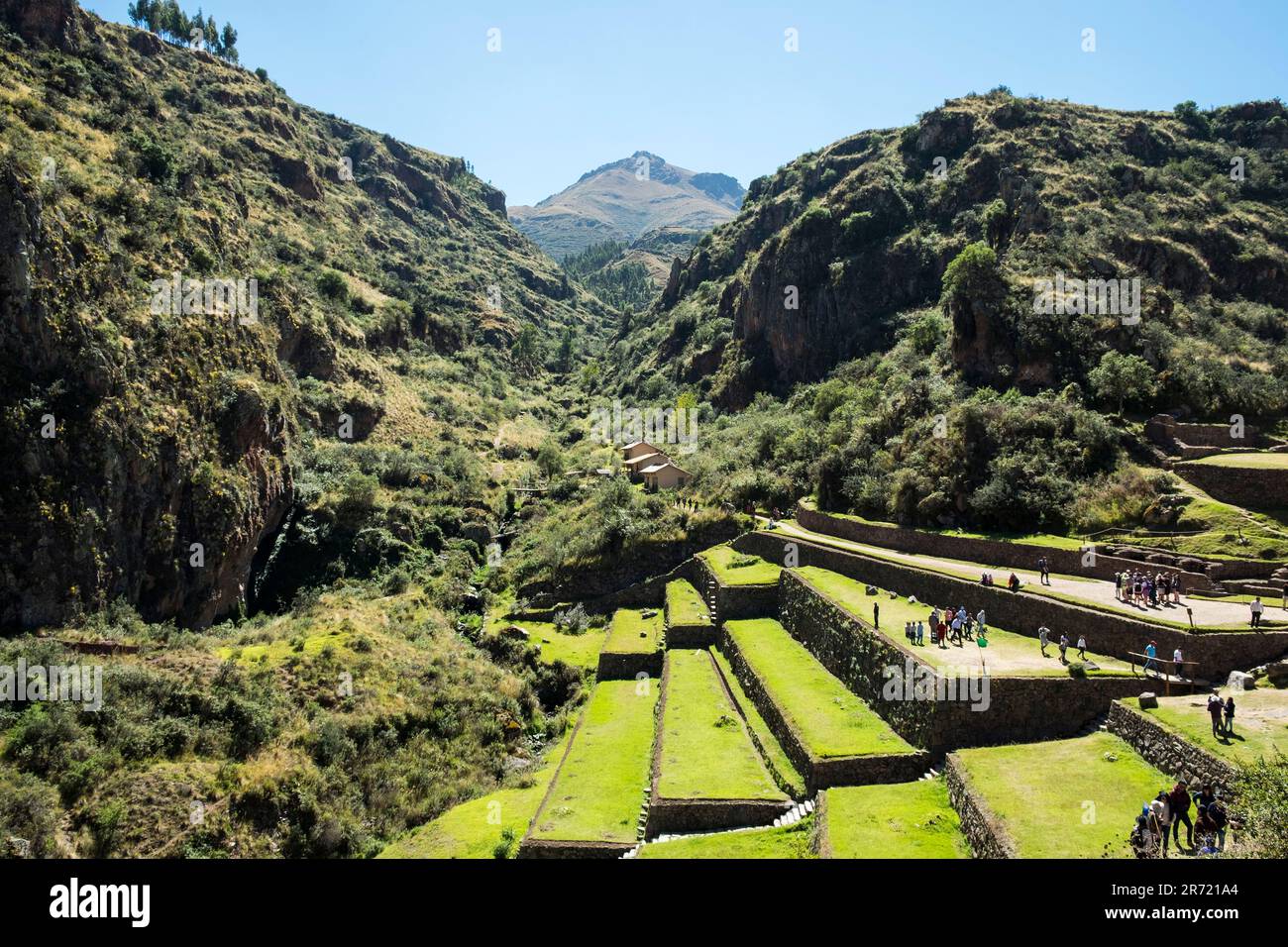 Pérou. ruines de pisac Banque D'Images