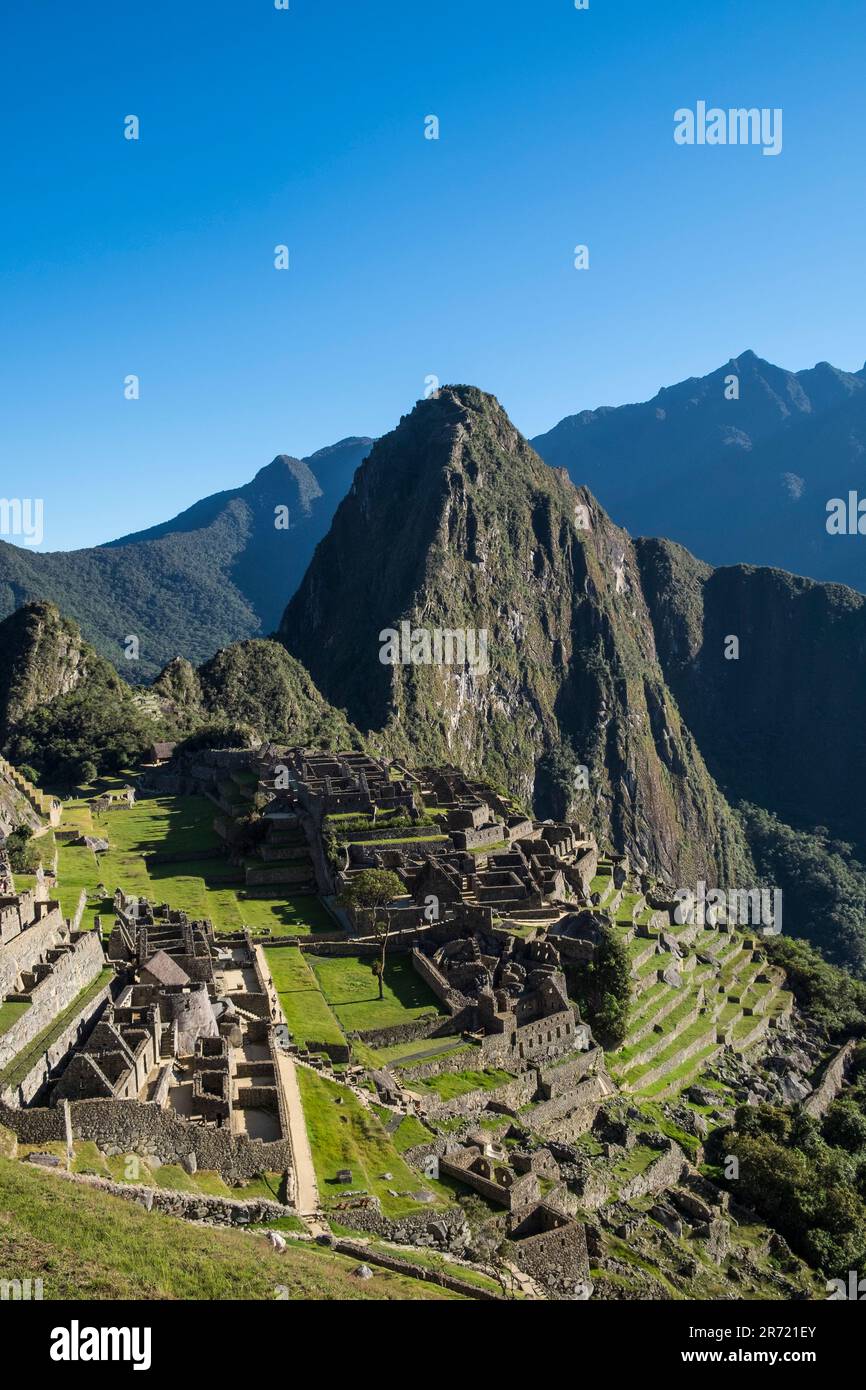 Pérou. machu picchu. ruines de la ville empire inca et de la montagne huayna picchu dans la vallée sacrée Banque D'Images
