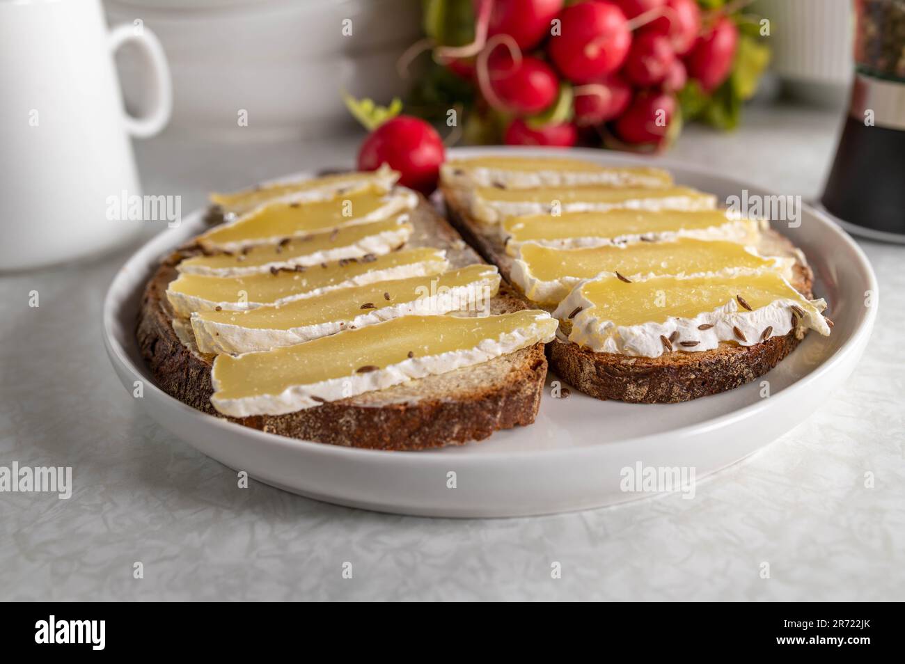 Sandwich au fromage avec pain au levain, beurre et fromage harzer, sandwich traditionnel allemand Banque D'Images