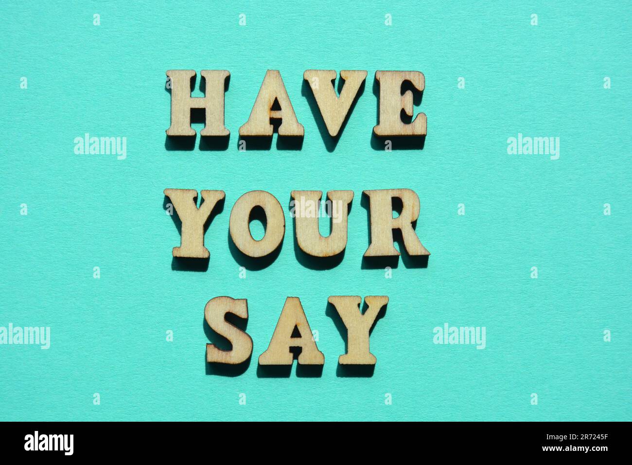 Avez votre mot à dire, des mots en lettres de l'alphabet de bois isolées sur le fond Banque D'Images