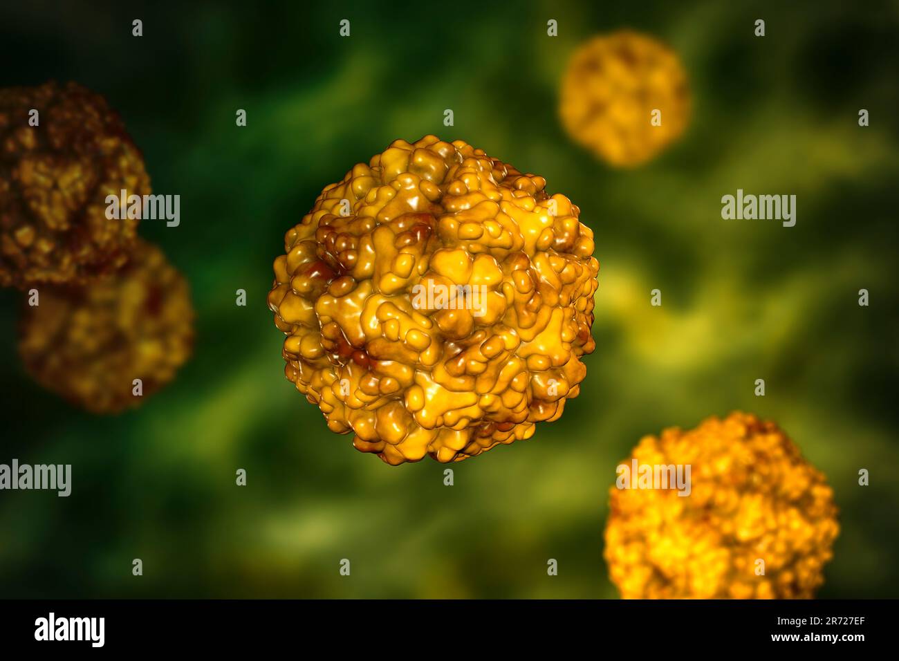 Entérovirus, illustration informatique. L'entérovirus est un genre de virus ARN à sens positif de la famille des Picornaviridae. Ils étaient à l'origine classifi Banque D'Images