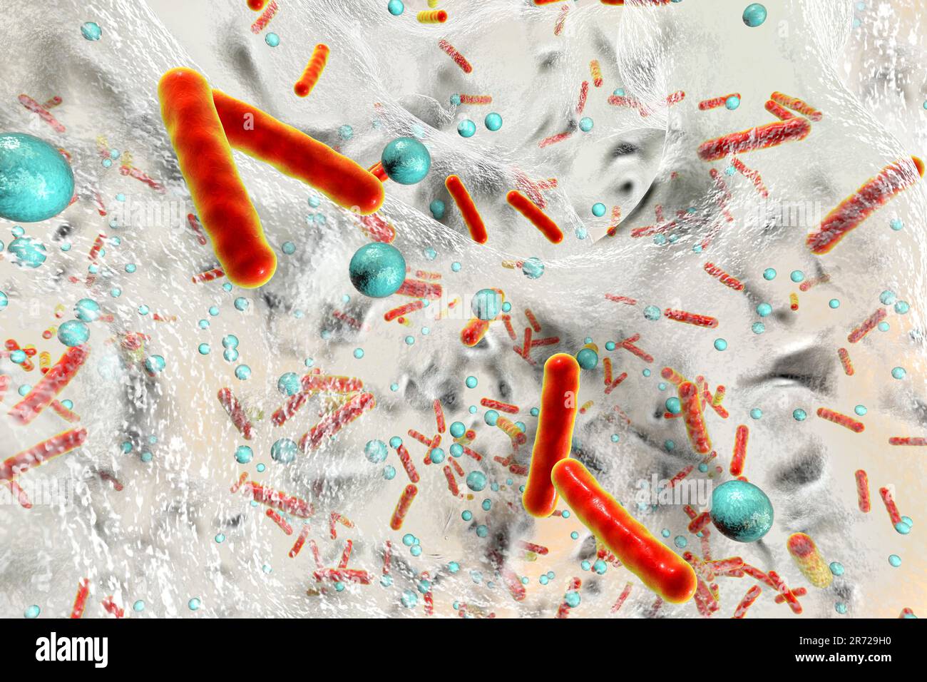 Bactéries sphériques et bactéries en forme de tige à l'intérieur du biofilm, illustration.Un biofilm est une colonie de bactéries qui forme un revêtement sur une surface.P commun Banque D'Images