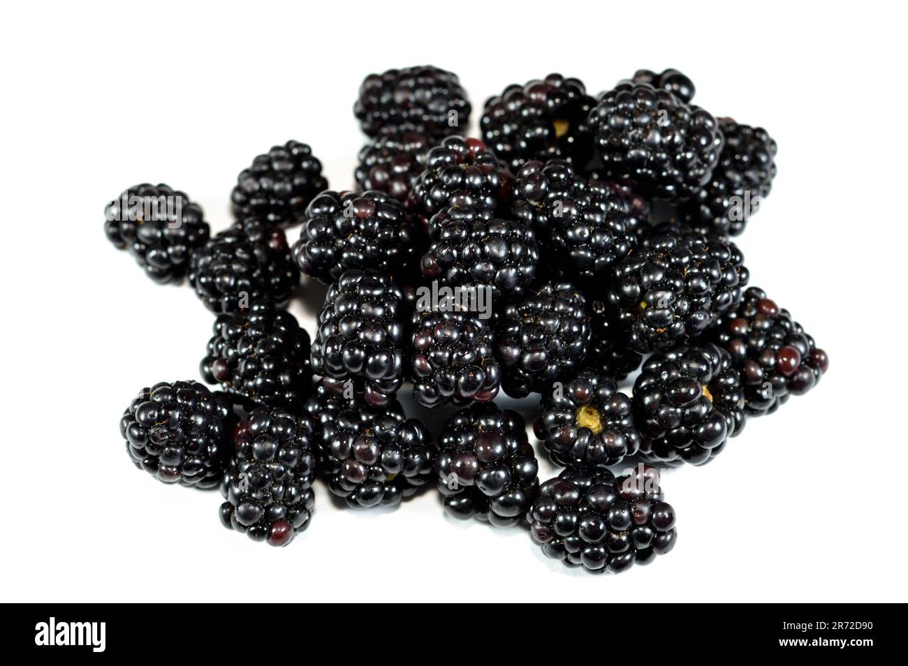 BlackBerry, fruit comestible de nombreuses espèces du genre Rubus de la famille des Rosaceae, hybrides entre les espèces avec le sous-genre Rubus, et hybrides entre le sous-genre Banque D'Images