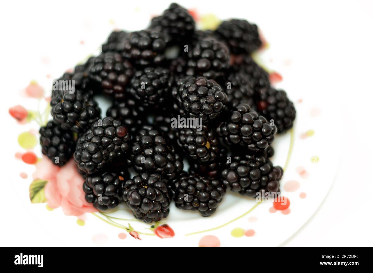 BlackBerry, fruit comestible de nombreuses espèces du genre Rubus de la famille des Rosaceae, hybrides entre les espèces avec le sous-genre Rubus, et hybrides entre le sous-genre Banque D'Images