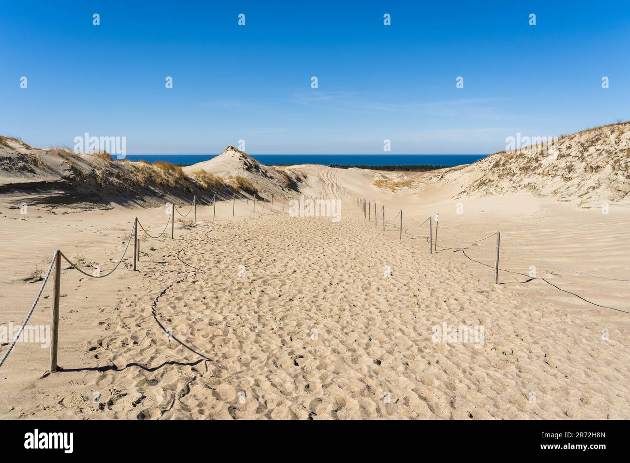 Les dunes grises, ou les dunes mortes, sont des collines sablonneuses avec un peu de taches vertes sur le côté lituanien de la CCuronian Spit. Banque D'Images
