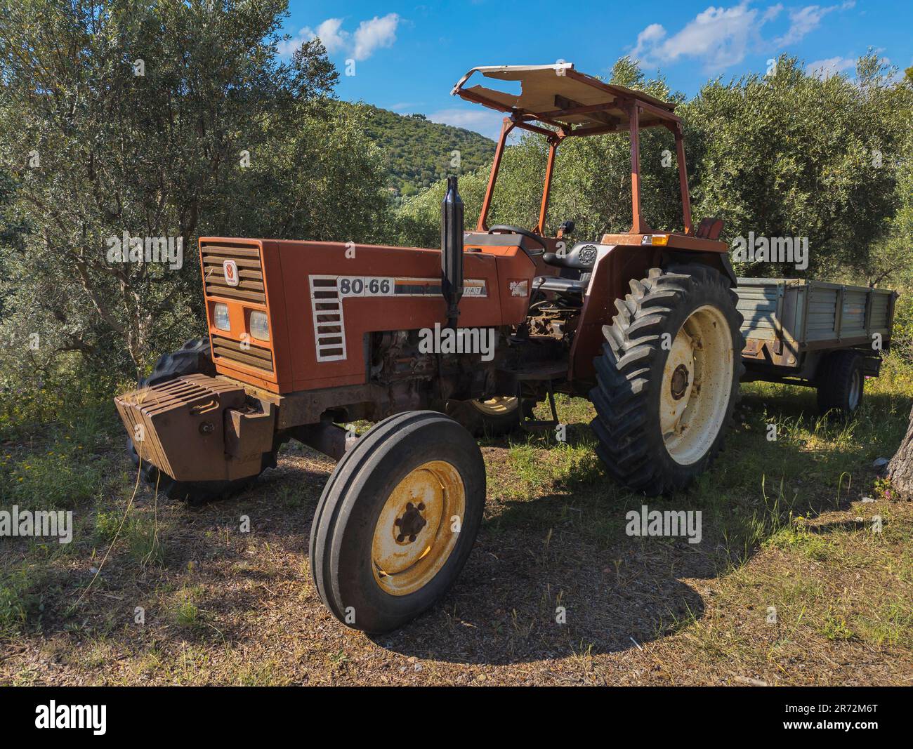 Ancien tracteur Fiat 80 - 66 avec remorque pour la récolte du grain dans la campagne toscane, Italie Banque D'Images