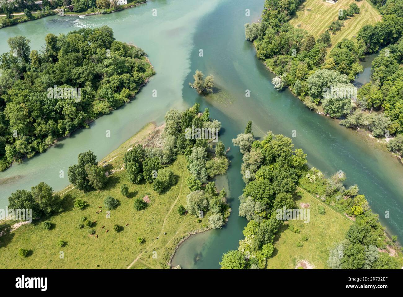 Confluent de la rivière Limmat et de la rivière Aare à Limmatspitz, vue aérienne, Argau, Suisse. Banque D'Images