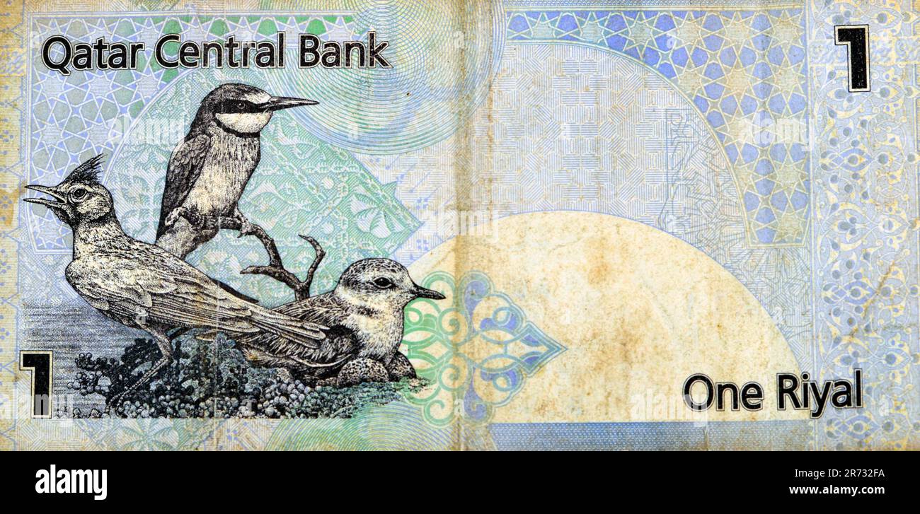 Gros fragment de la face arrière de 1 monnaie en espèces de Riyal de Qatari billet de banque avec des oiseaux indigènes de l'arche crétoise Galerida cristata, eurasien Banque D'Images