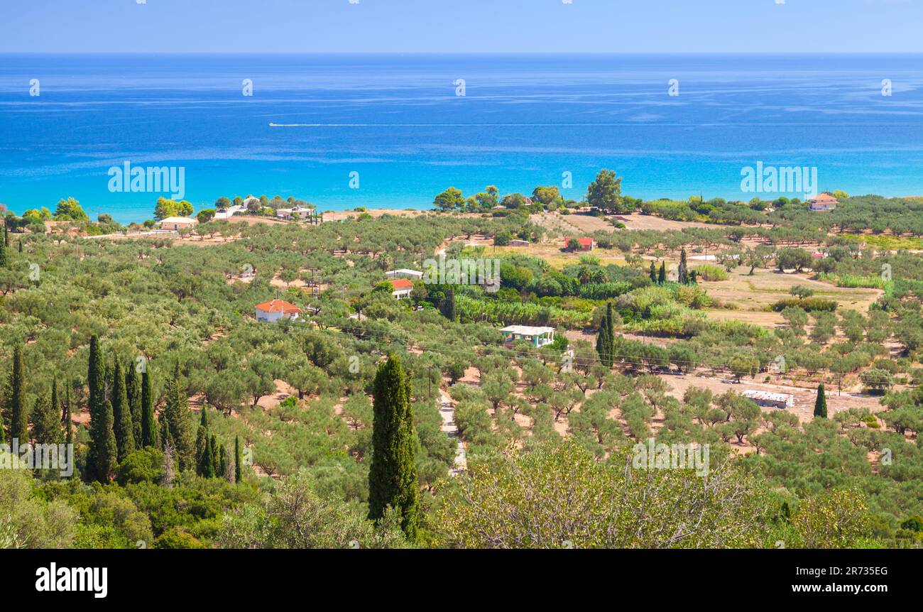 Paysage côtier d'été de l'île de Zakynthos, Grèce Banque D'Images